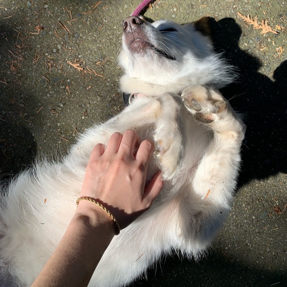 Laura Lombardi | Gold Rope Chain Bracelet - Picture 6 of 6